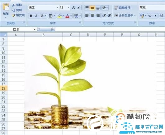把图片插入到EXCEL的单元格中如何操作