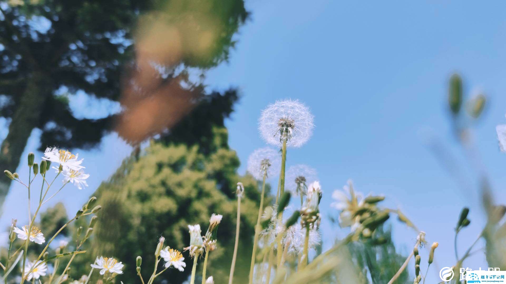 miui12拍照全新体验评测