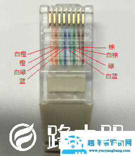 网线选购完全指南（知识科普，品牌推荐）