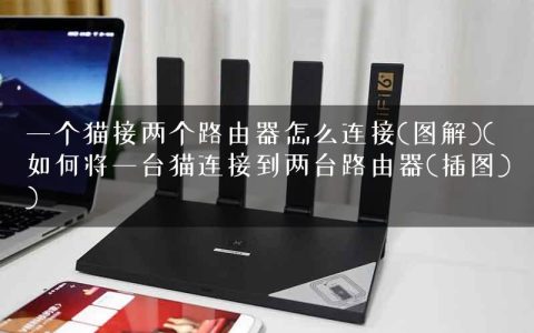 一个猫接两个路由器怎么连接(图解)(如何将一台猫连接到两台路由器(插图))