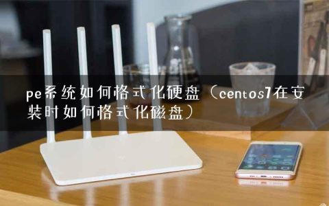 pe系统如何格式化硬盘（centos7在安装时如何格式化磁盘）