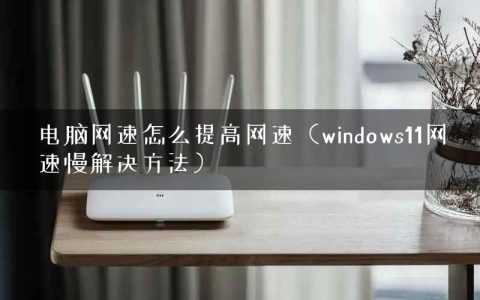 电脑网速怎么提高网速（windows11网速慢解决方法）