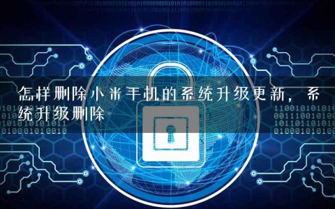 怎样删除小米手机的系统升级更新，系统升级删除