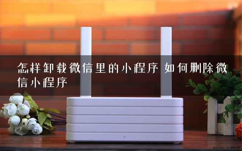 怎样卸载微信里的小程序 如何删除微信小程序