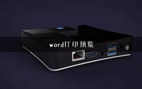 word打印预览