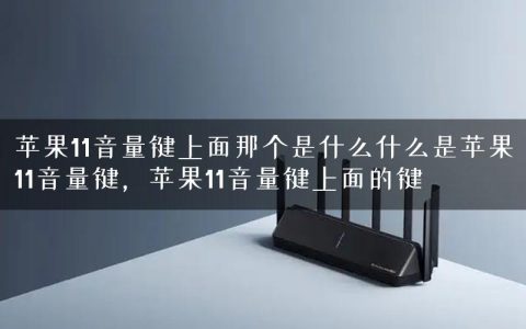 苹果11音量键上面那个是什么什么是苹果11音量键，苹果11音量键上面的键