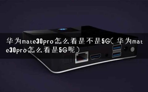 华为mate30pro怎么看是不是5G( 华为mate30pro怎么看是5G呢)