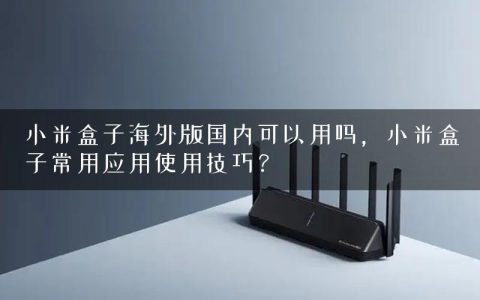 小米盒子海外版国内可以用吗，小米盒子常用应用使用技巧？