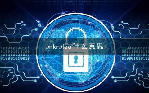 snkrsleo什么意思
