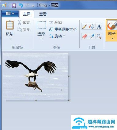 b7c4369e700eb31a8e0db4371a390cb5