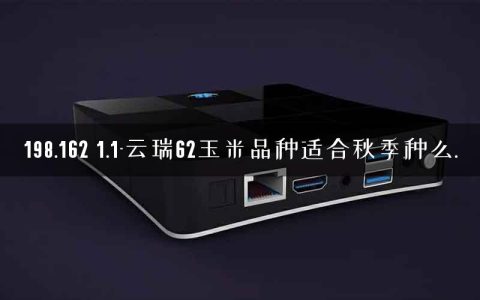 198.162 1.1-云瑞62玉米品种适合秋季种么.
