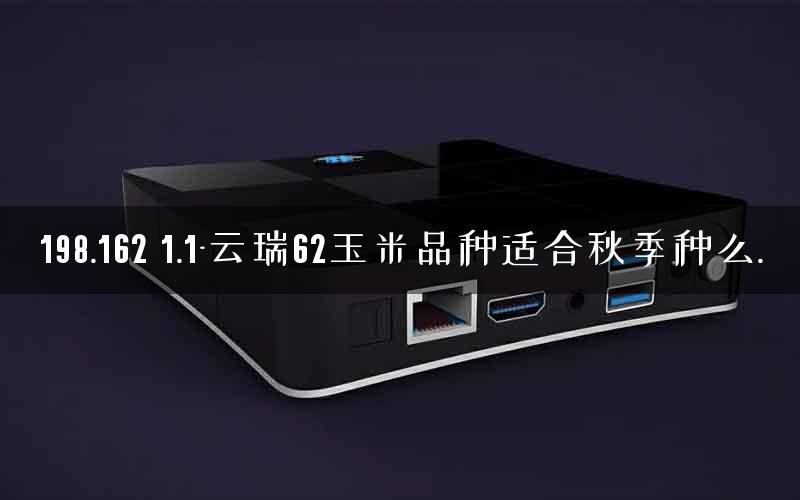 198.162 1.1-云瑞62玉米品种适合秋季种么.