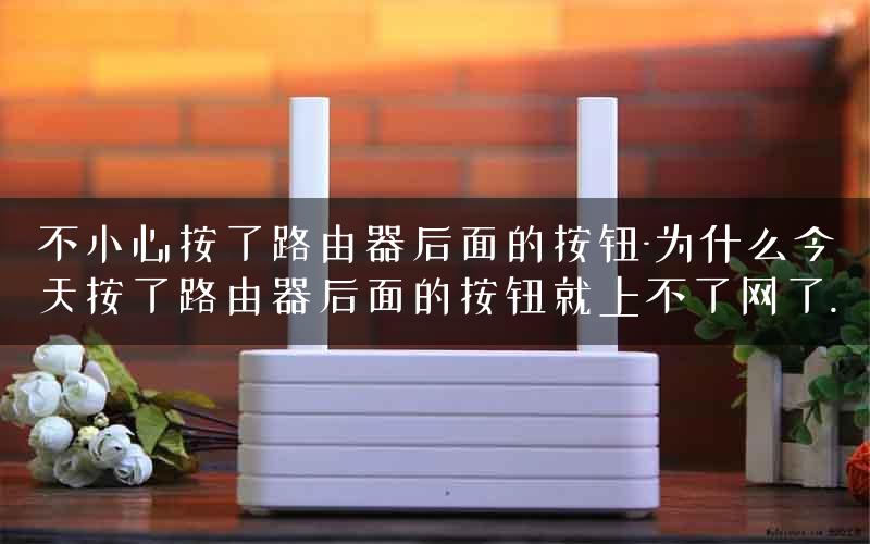 不小心按了路由器后面的按钮-为什么今天按了路由器后面的按钮就上不了网了.