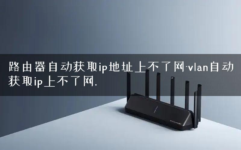 路由器自动获取ip地址上不了网-vlan自动获取ip上不了网.