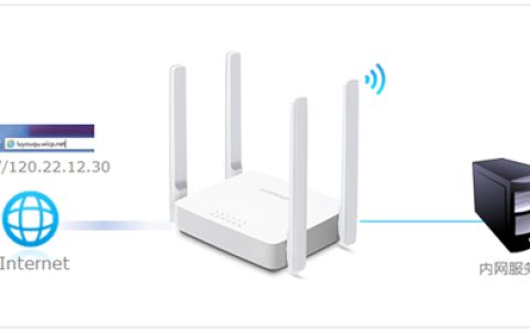 水星 MW323R V1 无线路由器怎么设置虚拟服务器？