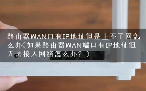 路由器WAN口有IP地址但是上不了网怎么办(如果路由器WAN端口有IP地址但无法接入网络怎么办？)