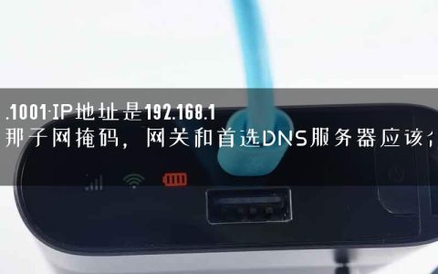 192.168.1001-IP地址是192.168.1.100，那子网掩码，网关和首选DNS服务器应该怎么填.