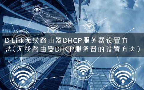 D-Link无线路由器DHCP服务器设置方法(无线路由器DHCP服务器的设置方法)