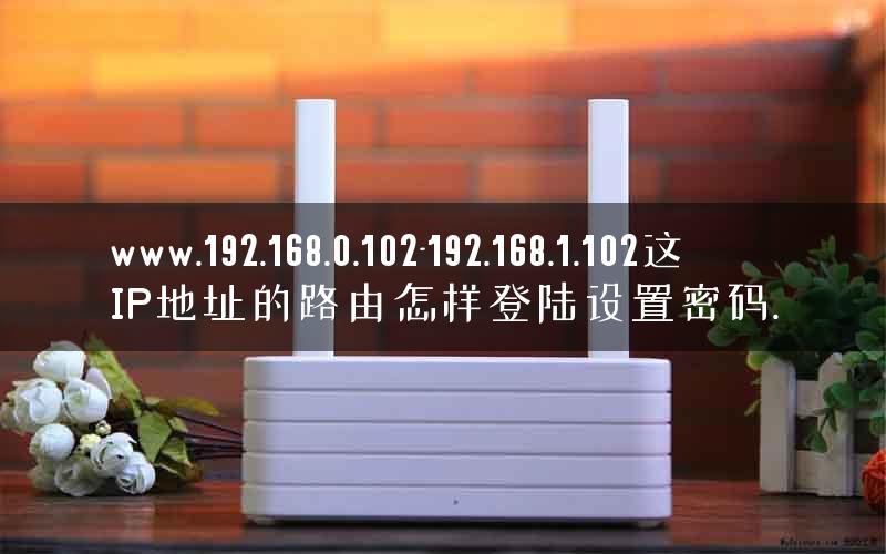 www.192.168.0.102-192.168.1.102这IP地址的路由怎样登陆设置密码.