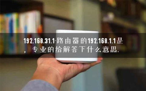 192.168.31.1-路由器的192.168.1.1是，专业的给解答下什么意思.