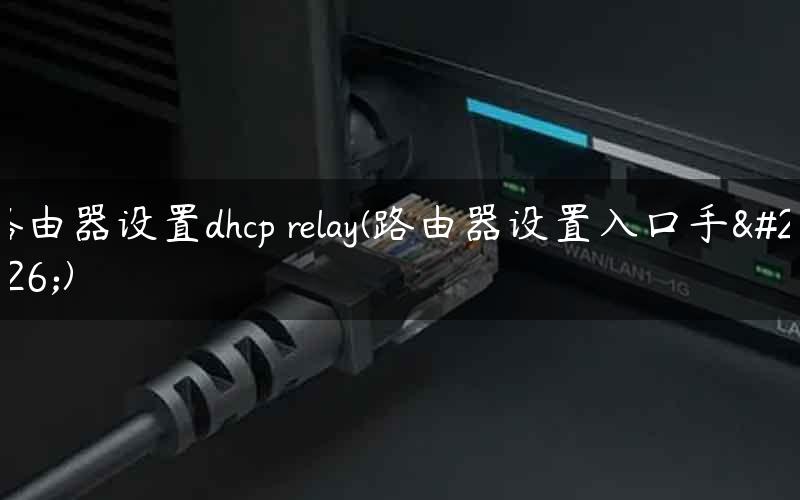 路由器设置dhcp relay(路由器设置入口手机)