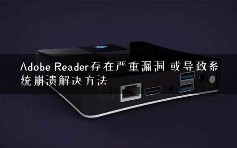 Adobe Reader存在严重漏洞 或导致系统崩溃解决方法