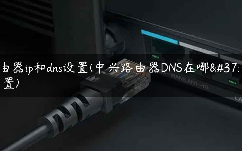 路由器ip和dns设置(中兴路由器DNS在哪里设置)