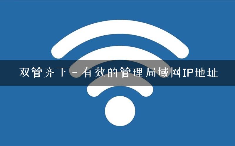 双管齐下－有效的管理局域网IP地址