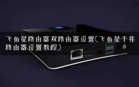飞鱼星路由器双路由器设置(飞鱼星千兆路由器设置教程)