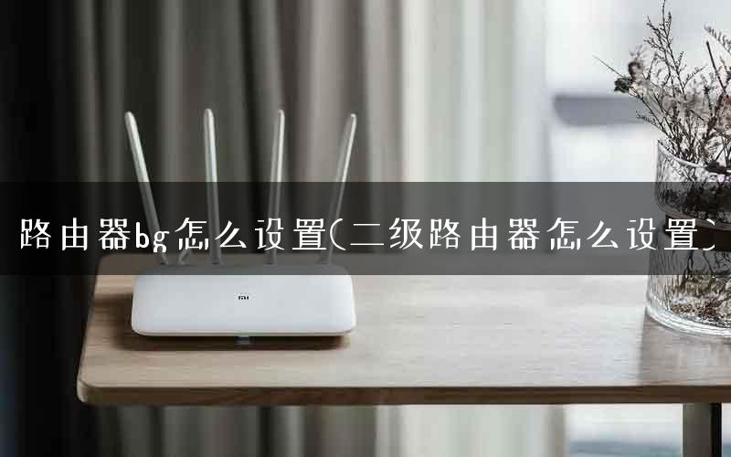 路由器bg怎么设置(二级路由器怎么设置)