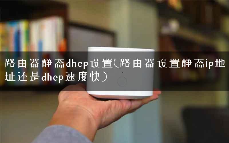 路由器静态dhcp设置(路由器设置静态ip地址还是dhcp速度快) 路由器静态dhcp设置(路由器设置静态ip地址还是dhcp速度快)