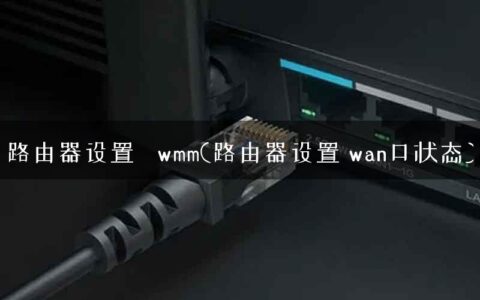 路由器设置   wmm(路由器设置 wan口状态)