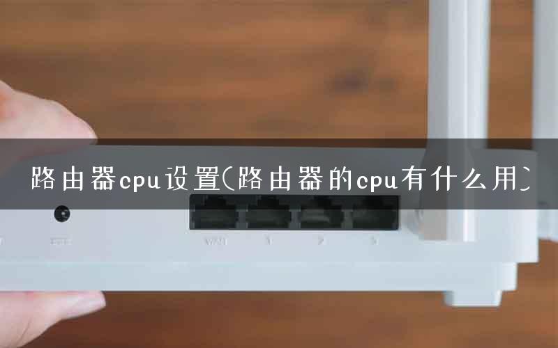 路由器cpu设置(路由器的cpu有什么用)
