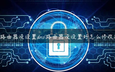 路由器没设置dns(路由器没设置好怎么修改)
