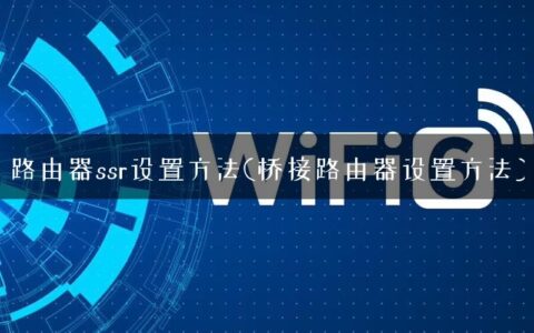 路由器ssr设置方法(桥接路由器设置方法)