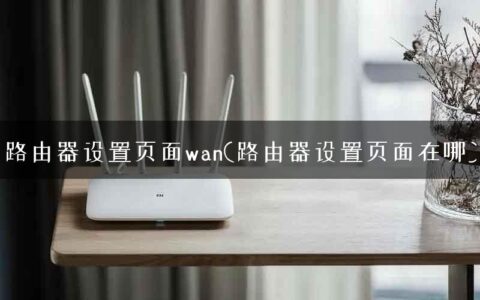 路由器设置页面wan(路由器设置页面在哪)