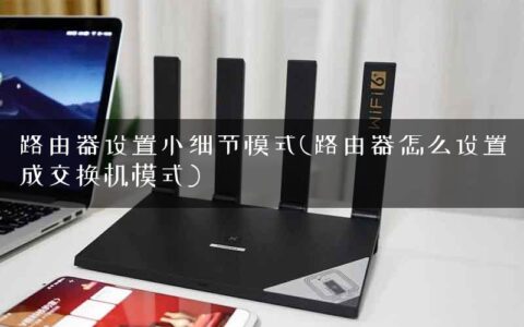 路由器设置小细节模式(路由器怎么设置成交换机模式)