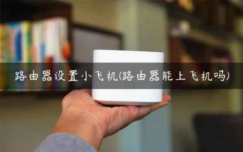 路由器设置小飞机(路由器能上飞机吗)