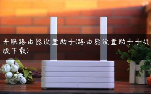 并联路由器设置助手(路由器设置助手手机版下载)