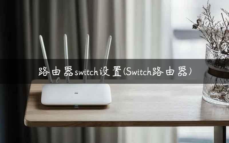 路由器switch设置(Switch路由器)