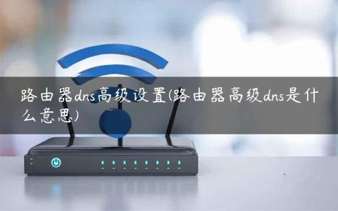 路由器dns高级设置(路由器高级dns是什么意思)