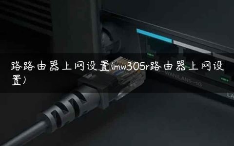 路路由器上网设置(mw305r路由器上网设置)