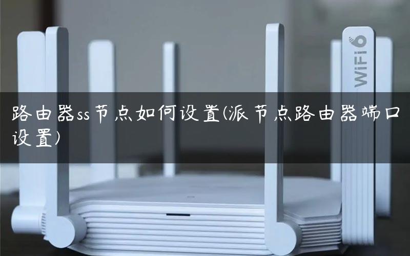 路由器ss节点如何设置(派节点路由器端口设置)