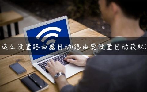 这么设置路由器自动(路由器设置自动获取)