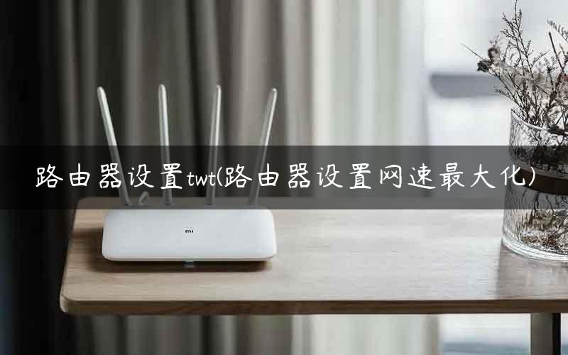 路由器设置twt(路由器设置网速最大化)
