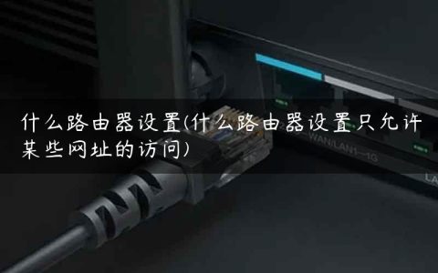 什么路由器设置(什么路由器设置只允许某些网址的访问)