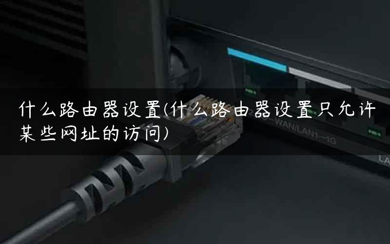 什么路由器设置(什么路由器设置只允许某些网址的访问)