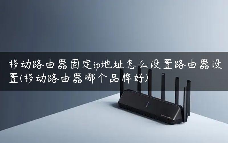 移动路由器固定ip地址怎么设置路由器设置(移动路由器哪个品牌好)