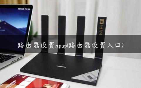 路由器设置npup(路由器设置入口)