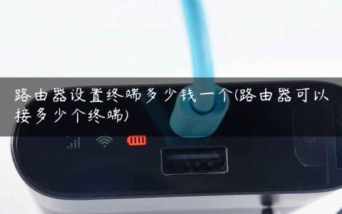 路由器设置终端多少钱一个(路由器可以接多少个终端)